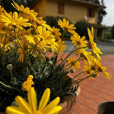 Agriturismo La Cerbana Palaia Luaran gambar